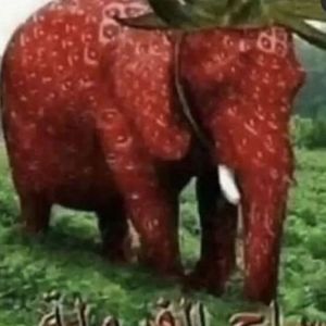 Meet your Posher, Blake